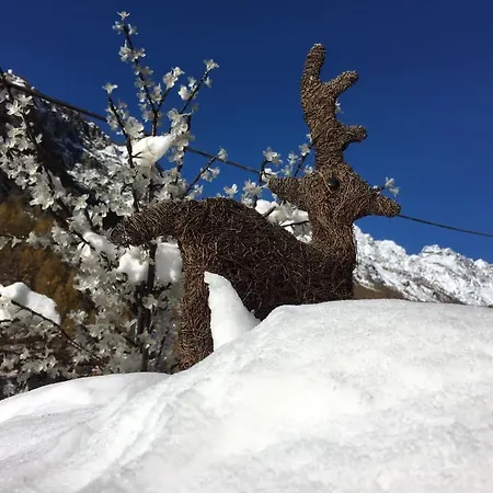 Bed & Breakfast Lepetitnid 3*