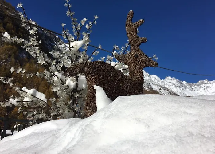 住宿加早餐酒店 Lepetitnid 3*